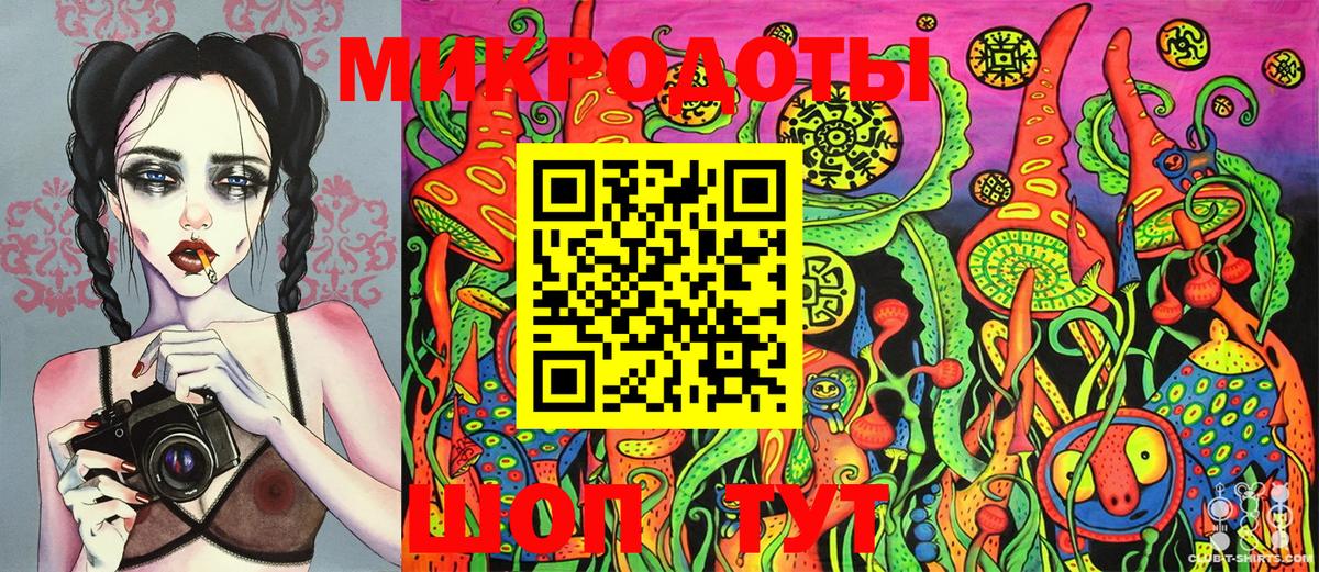 Псилоцибиновые грибы Psilocybine cubensis Ахтубинск